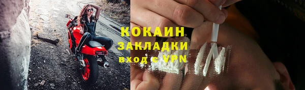 ГАЛЛЮЦИНОГЕННЫЕ ГРИБЫ Аркадак