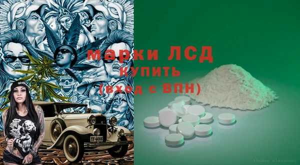 ГАЛЛЮЦИНОГЕННЫЕ ГРИБЫ Аркадак