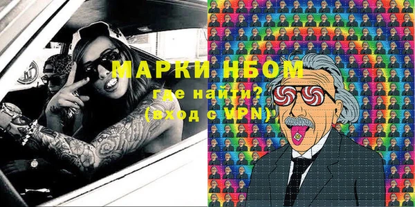 ГАЛЛЮЦИНОГЕННЫЕ ГРИБЫ Аркадак