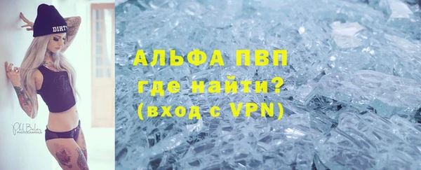 ГАЛЛЮЦИНОГЕННЫЕ ГРИБЫ Аркадак